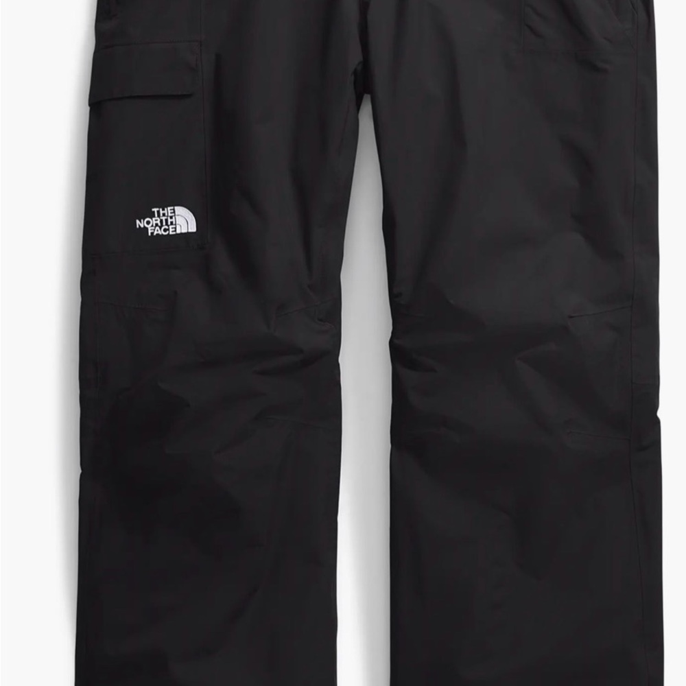 The North Face Men's Black freedom insulated pants (will sell quick)